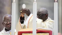Cardinal Robert Sarah offers Mass in St. Peter's Basilica for his 50th anniversary of priesthood in 2019. / Credit: Evandro Inetti/CNA.